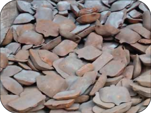 Cast Iron Phosphoric Ingot